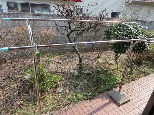 写真:庭